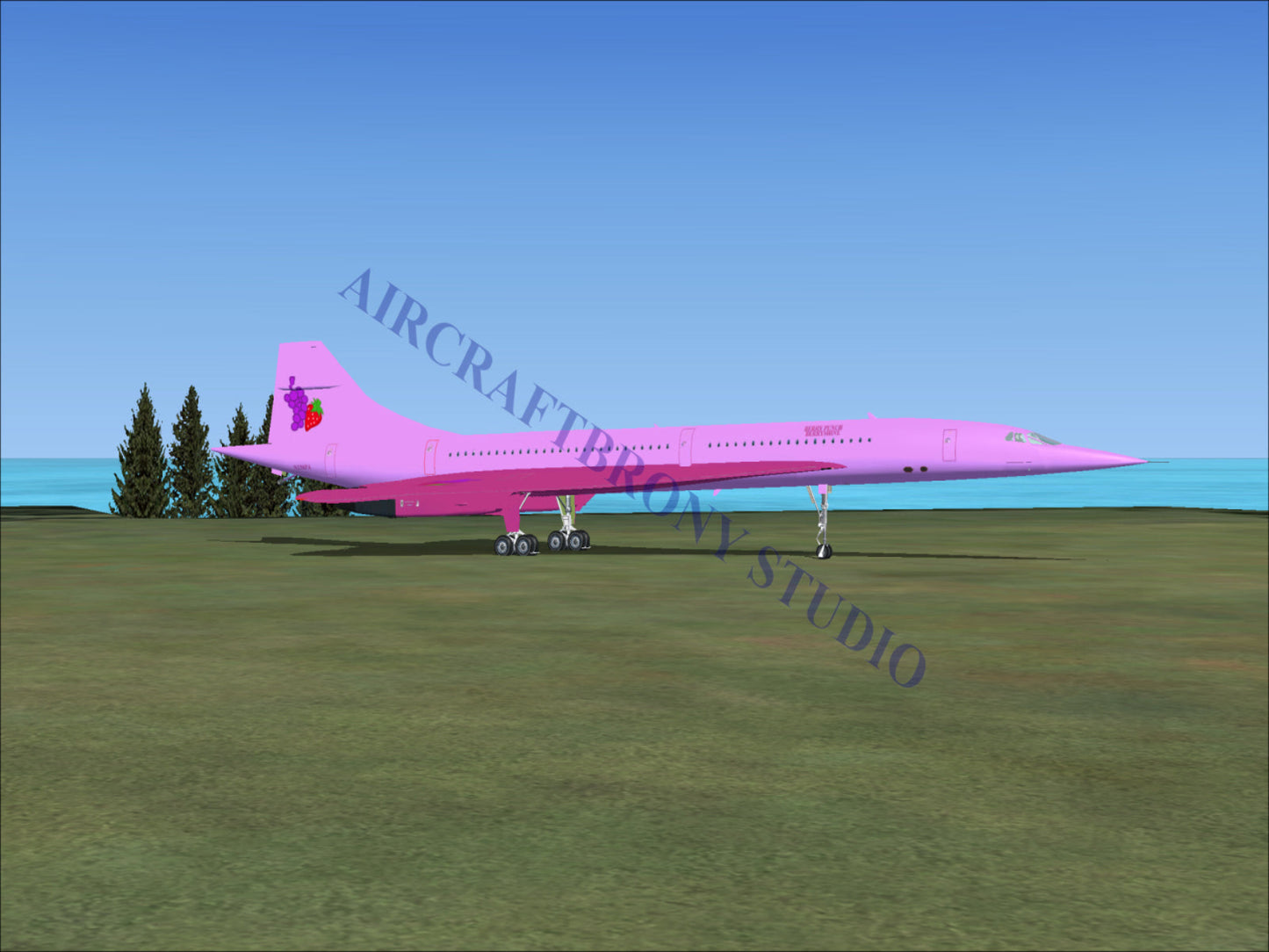 Berry Punch Aerospatiale Concorde (Digital Image) Digital Image