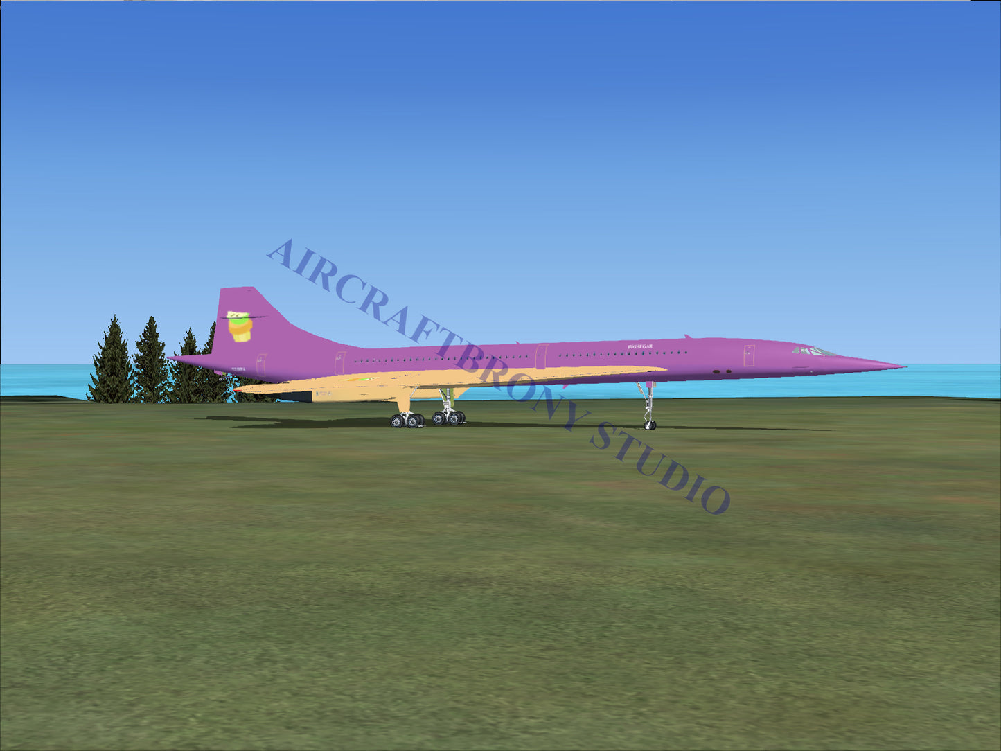 Big Sugar Aerospatiale Concorde (Digital Image) Digital Image