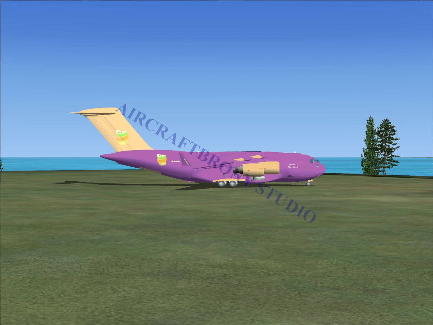 Purple and yellow cartoon-themed big sugar boeing c-17 cargo airplane with a frog design on the tail