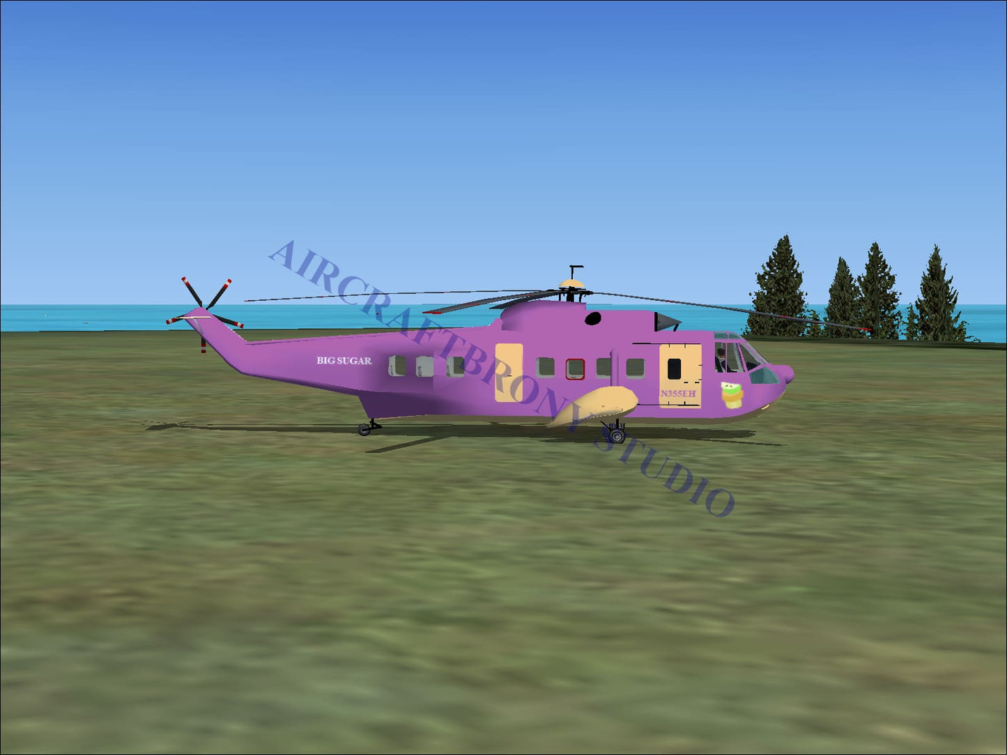 Purple big sugar sikorsky s-61n helicopter with yellow accents and big sugar logo on side digital image