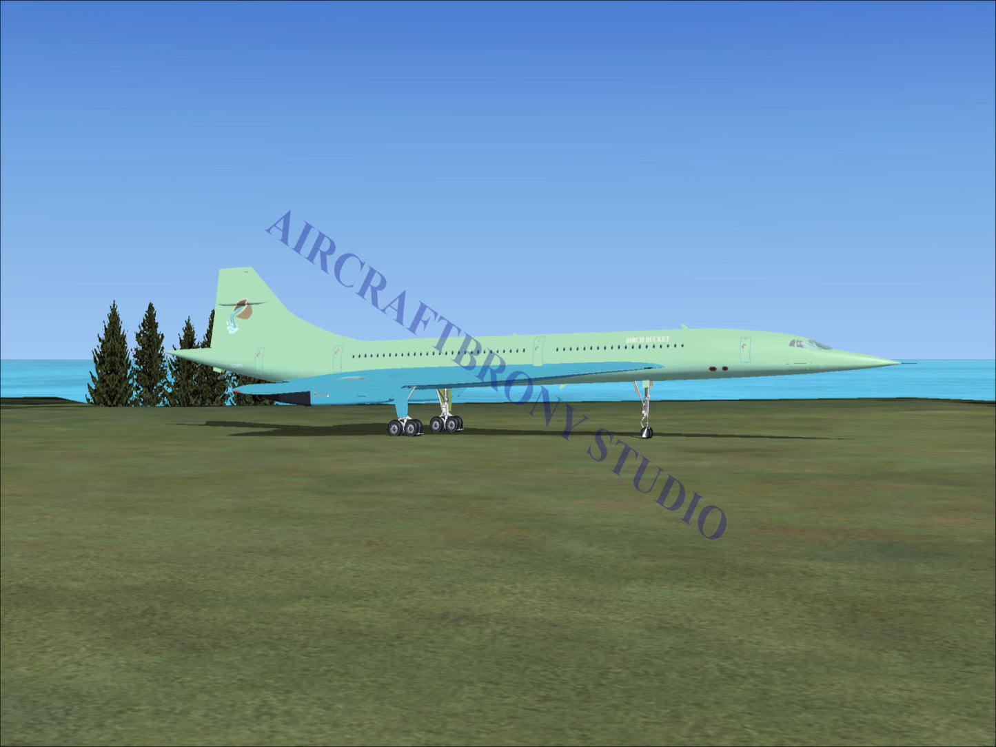 Birch Bucket Aerospatiale Concorde (Digital Image) Digital Image