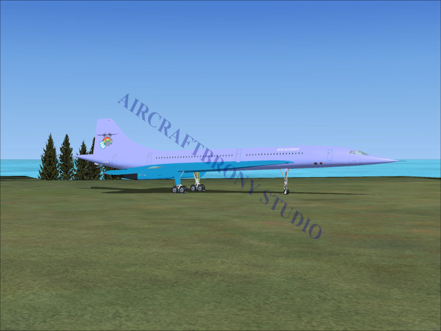 Bow Hothoof Aerospatiale Concorde (Digital Image) Digital Image