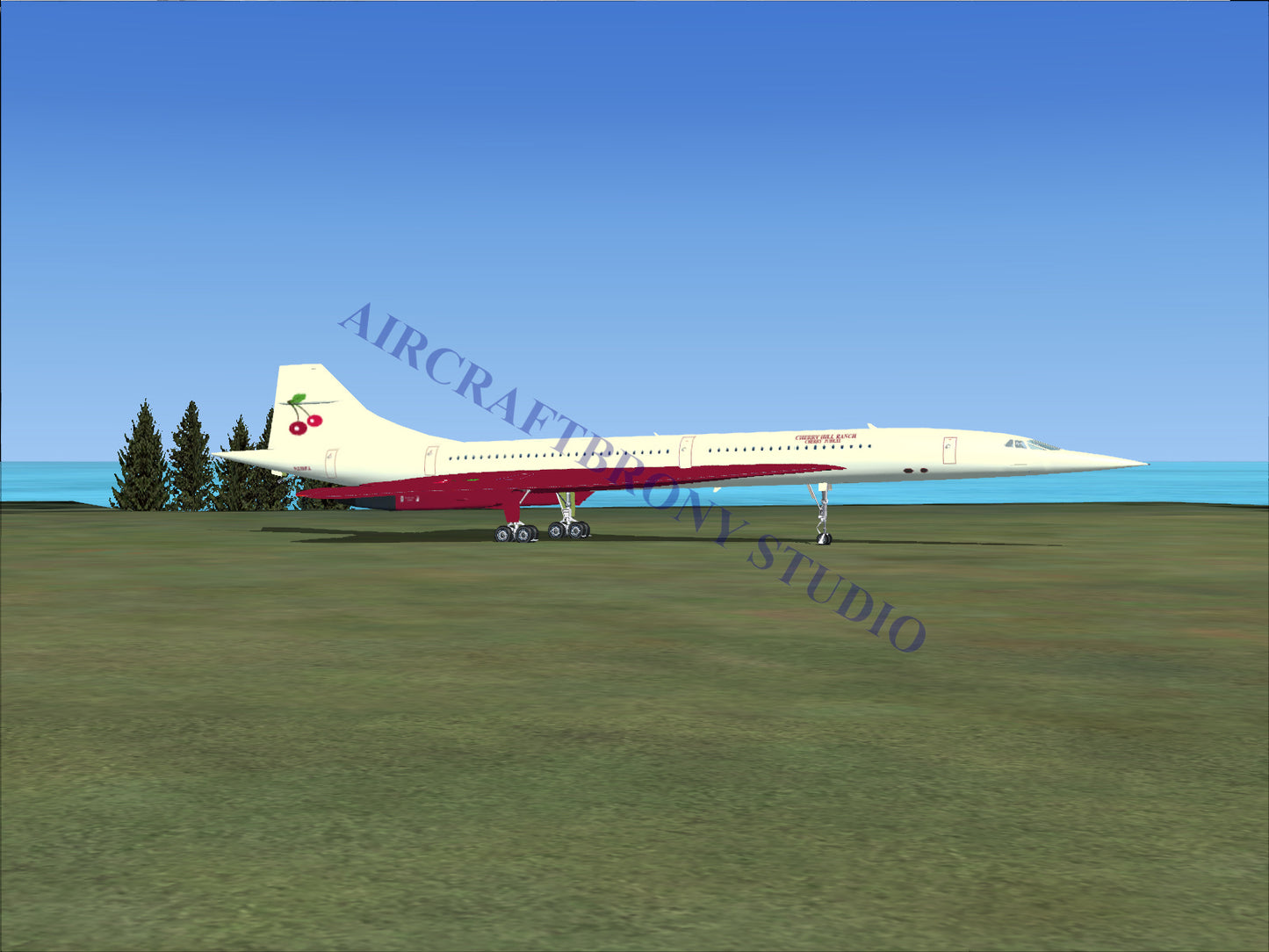 Cherry Jubilee Aerospatiale Concorde (Digital Image) Digital Image