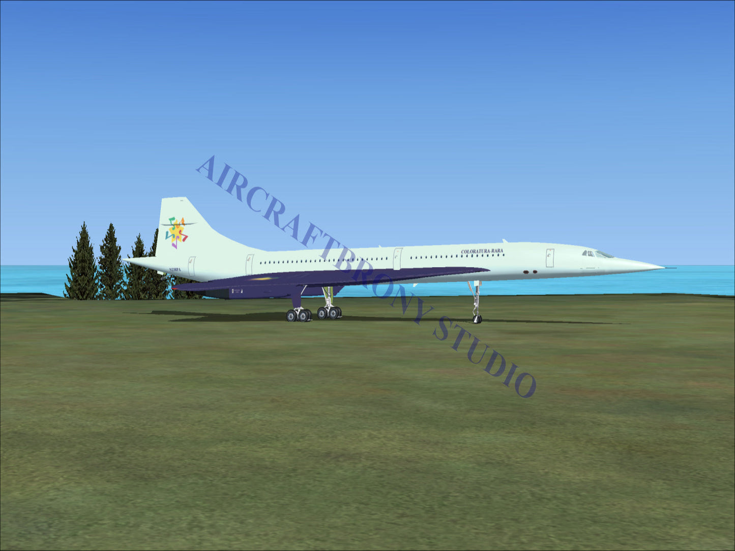 Coloratura-Rara Aerospatiale Concorde (Digital Image) Digital Image