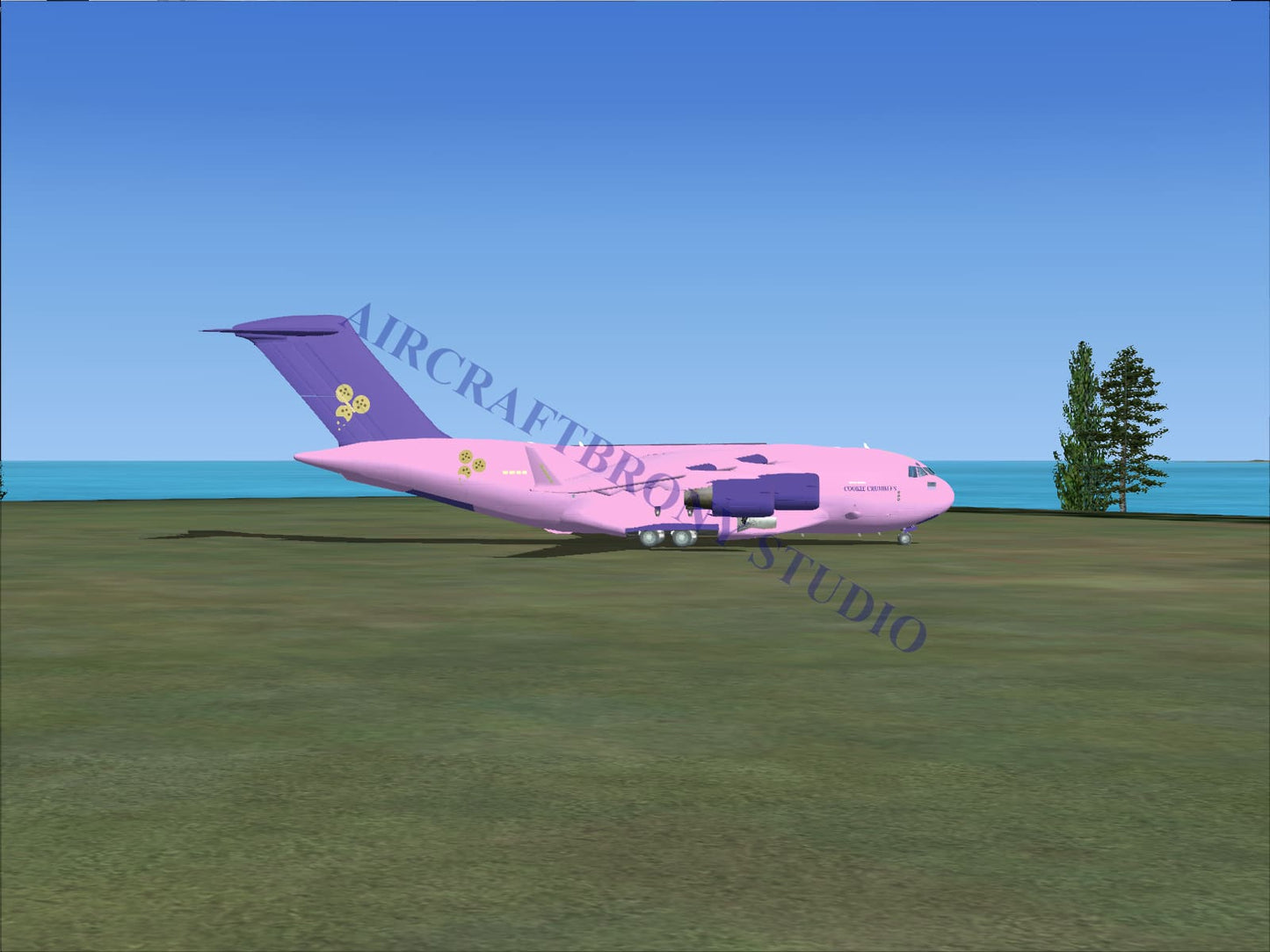 Cookie Crumbles Boeing C-17 (Digital Image) Digital Image