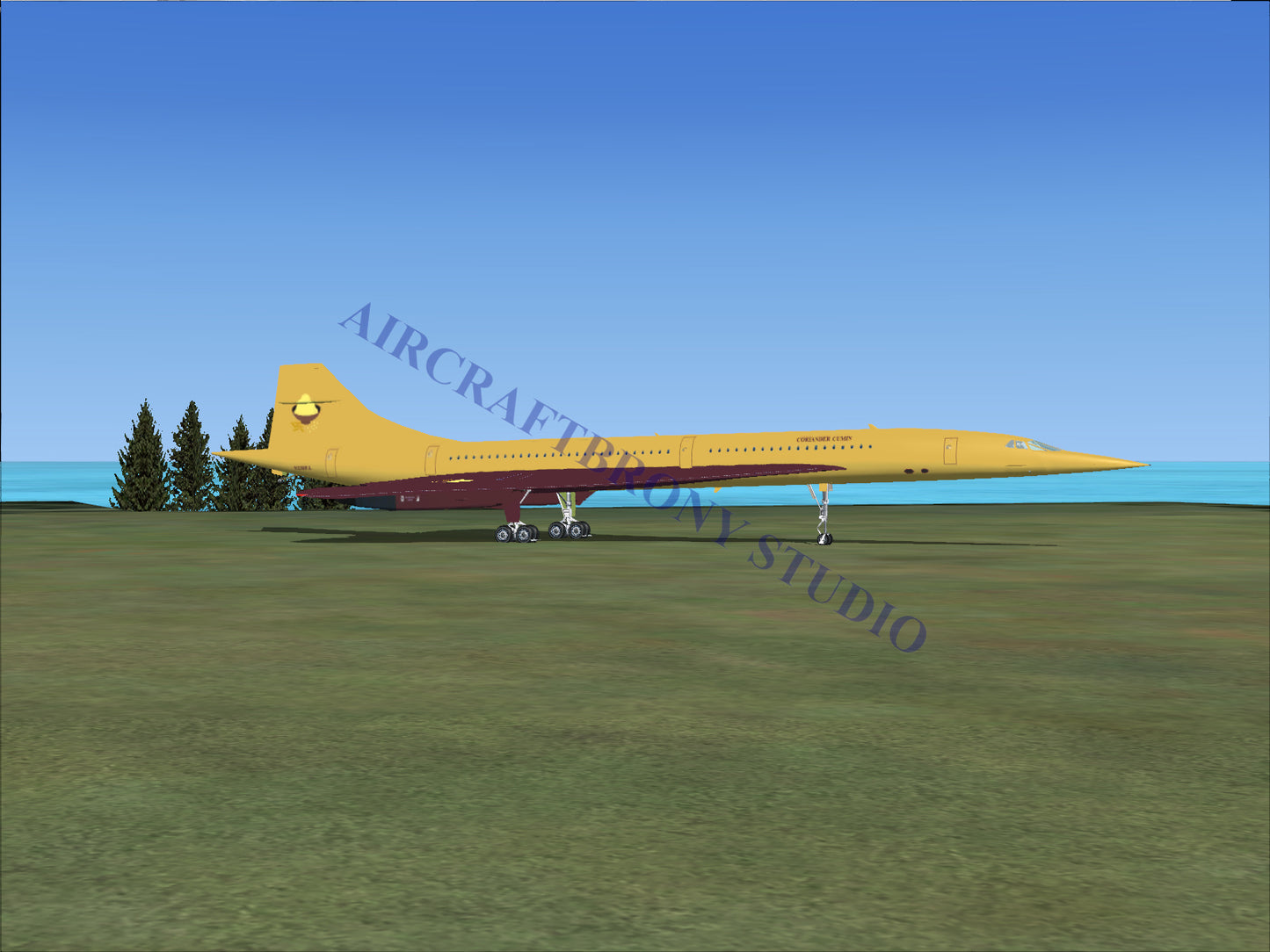 Coriander Cumin Aerospatiale Concorde (Digital Image) Digital Image