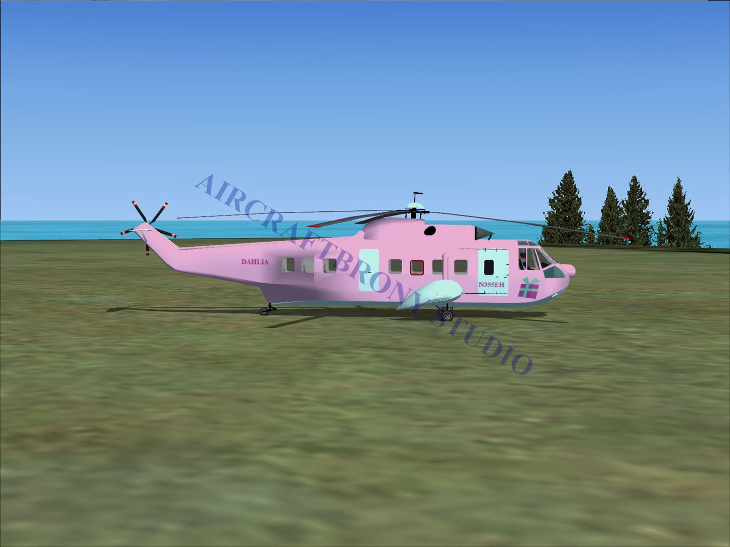 Dahlia Sikorsky S-61N (Digital Image) Digital Image