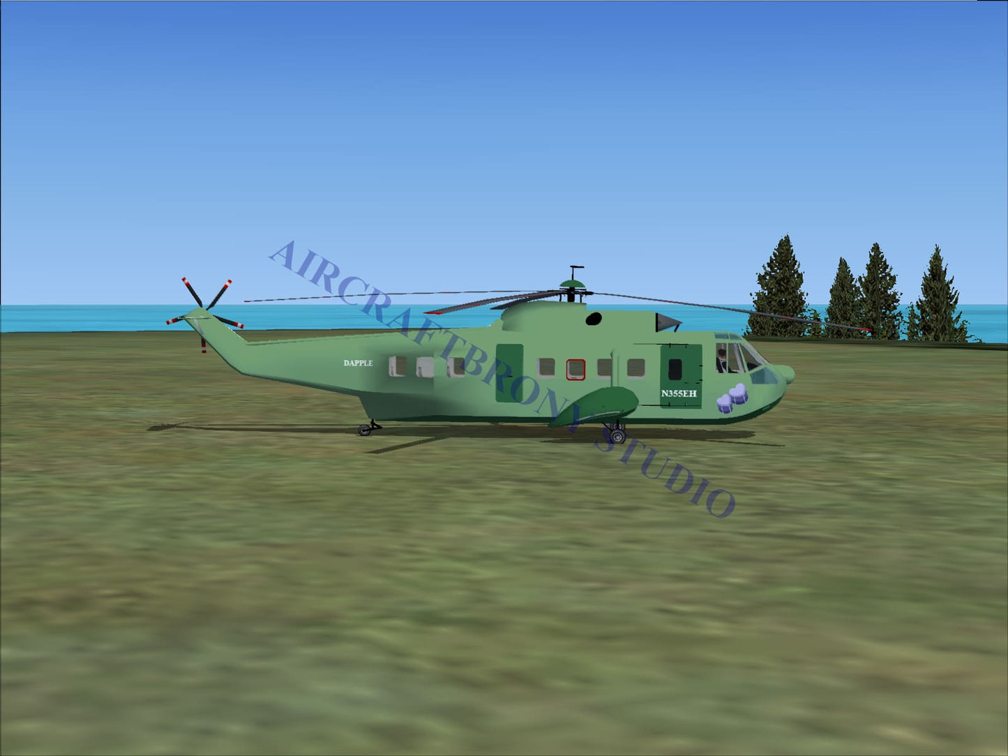 Dapple Sikorsky S-61N (Digital Image) Digital Image
