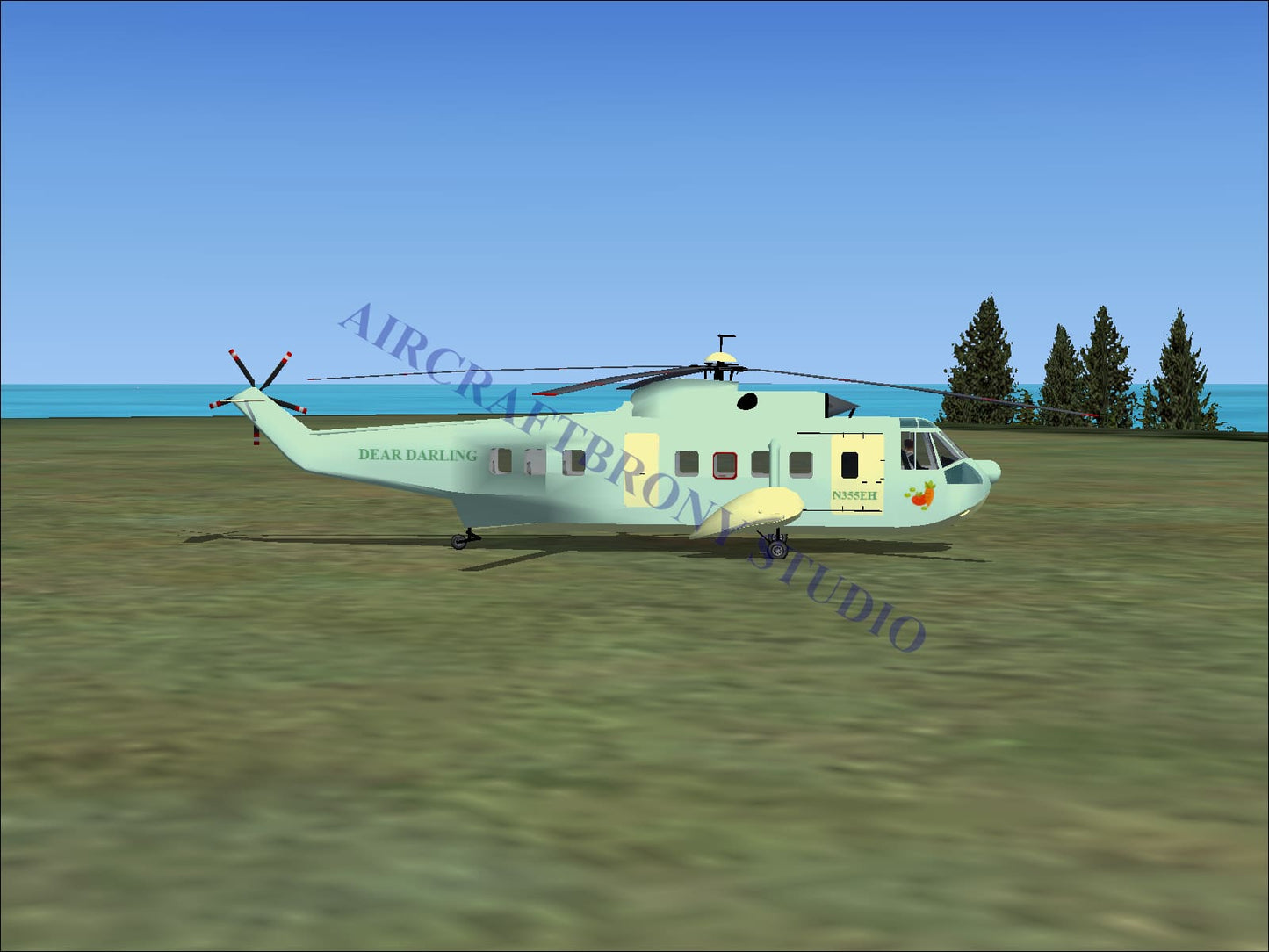 Dear Darling Sikorsky S-61N (Digital Image) Digital Image