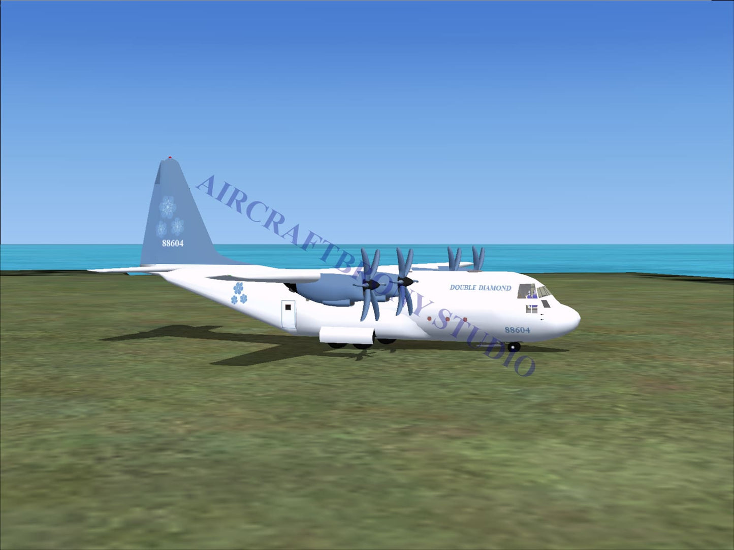 Double Diamond Lockheed C-130 (Digital Image) Digital Image