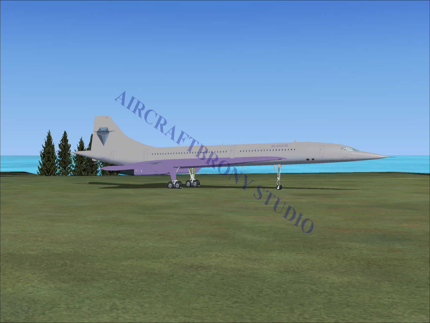 Dr. Maud Pie Aerospatiale Concorde (Digital Image) Digital Image