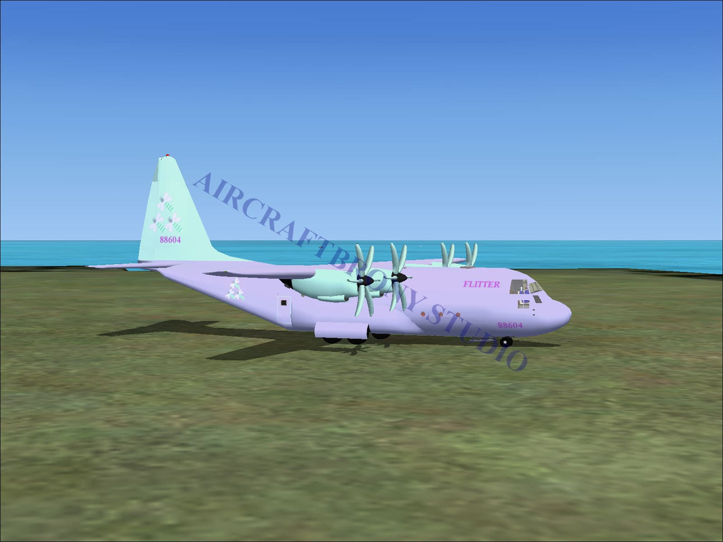 Flitter Lockheed C-130 (Digital Image) Digital Image