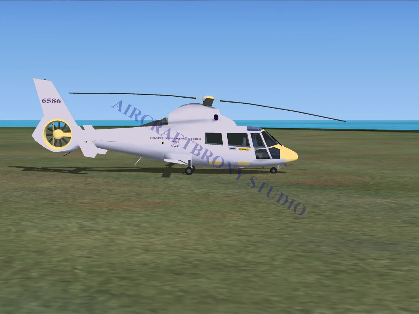 Hoofer Steps Dance Studio Aerospatiale HH65 Dolphin (Digital Image) Digital Image