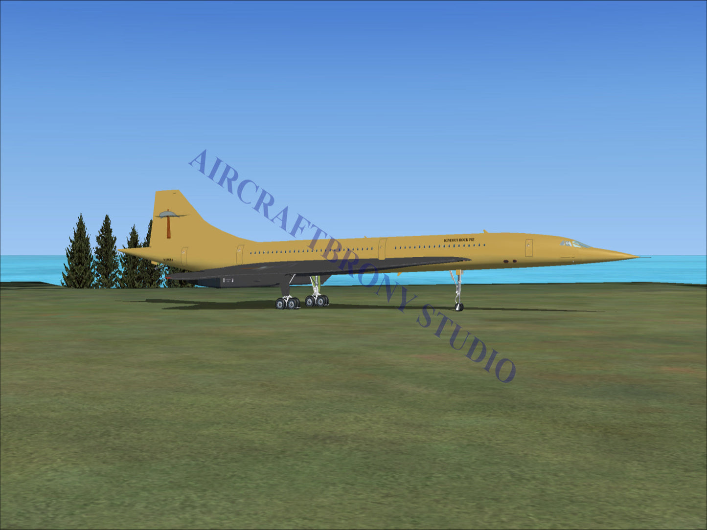 Igneous Rock Pie Aerospatiale Concorde (Digital Image) Digital Image