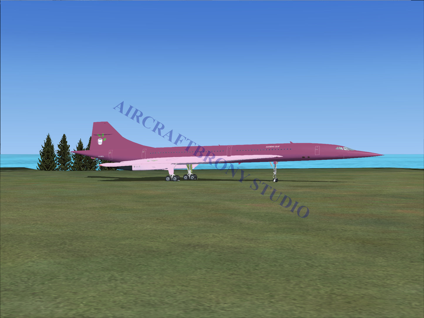 Jasmine Leaf Aerospatiale Concorde (Digital Image) Digital Image