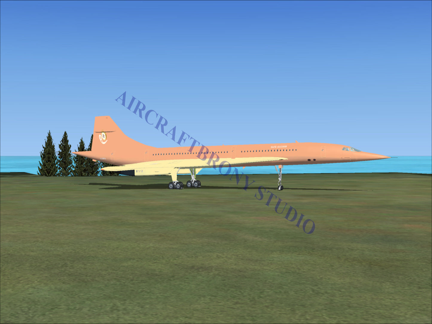 Mane Allgood Aerospatiale Concorde (Digital Image) Digital Image