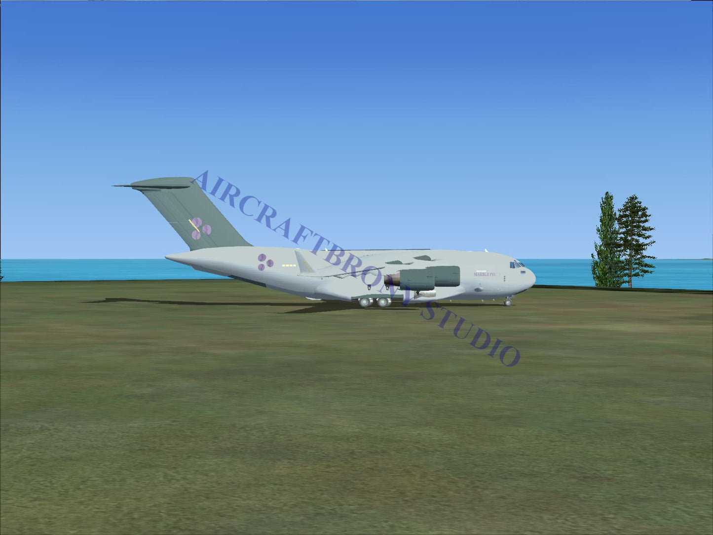 Marble Pie Boeing C-17 (Digital Image) Digital Image