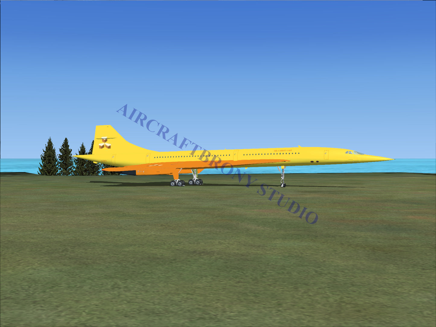 Mr. Carrot Cake Aerospatiale Concorde (Digital Image) Digital Image