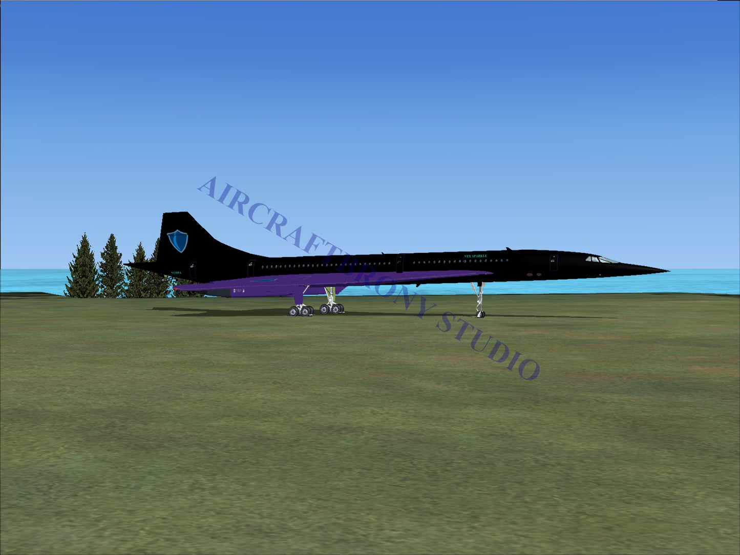 Nyx Sparkle Aerospatiale Concorde (Digital Image) Digital Image