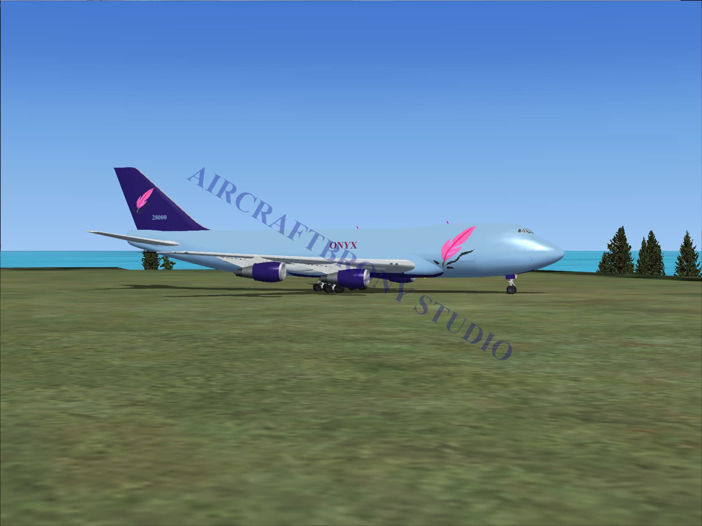 Onyx Boeing 747-200 (Digital Image) Digital Image