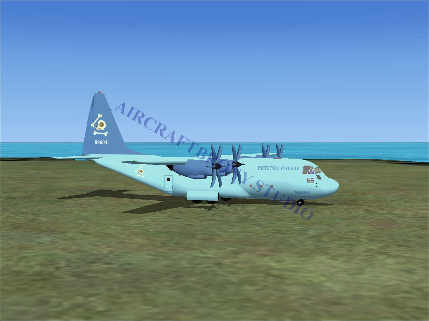 Petunia Paleo Lockheed C-130 (Digital Image) Digital Image