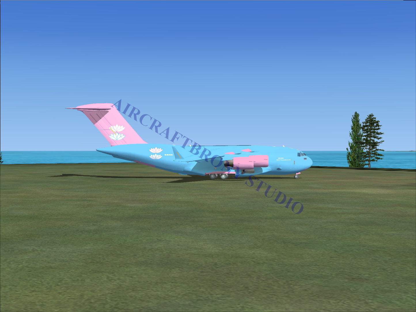 Ponyville Day Spa Boeing C-17 (Digital Image) Digital Image