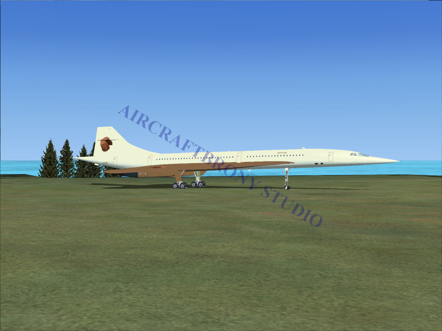 Pound Cake Aerospatiale Concorde (Digital Image) Digital Image