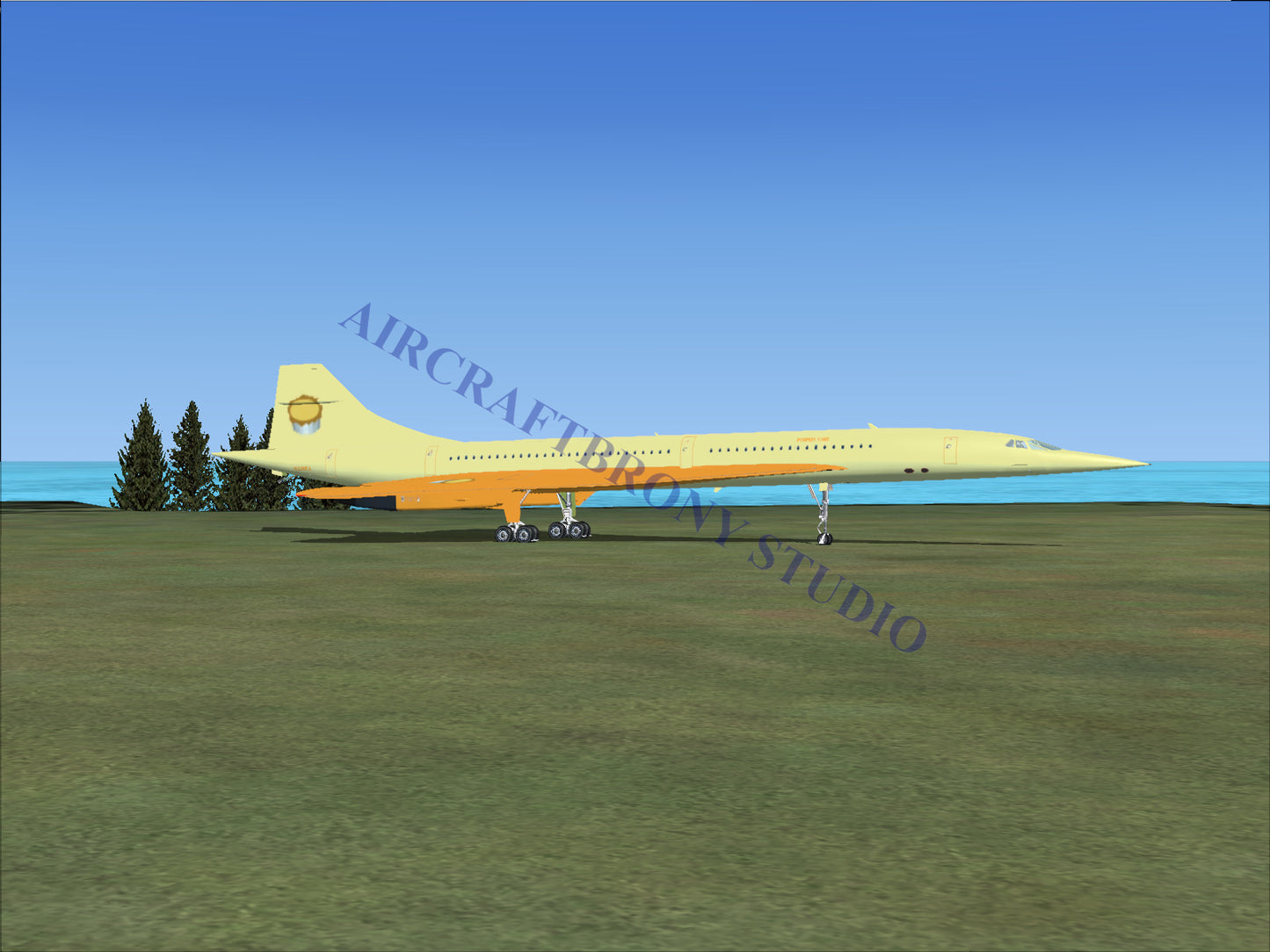 Pumpkin Cake Aerospatiale Concorde (Digital Image) Digital Image