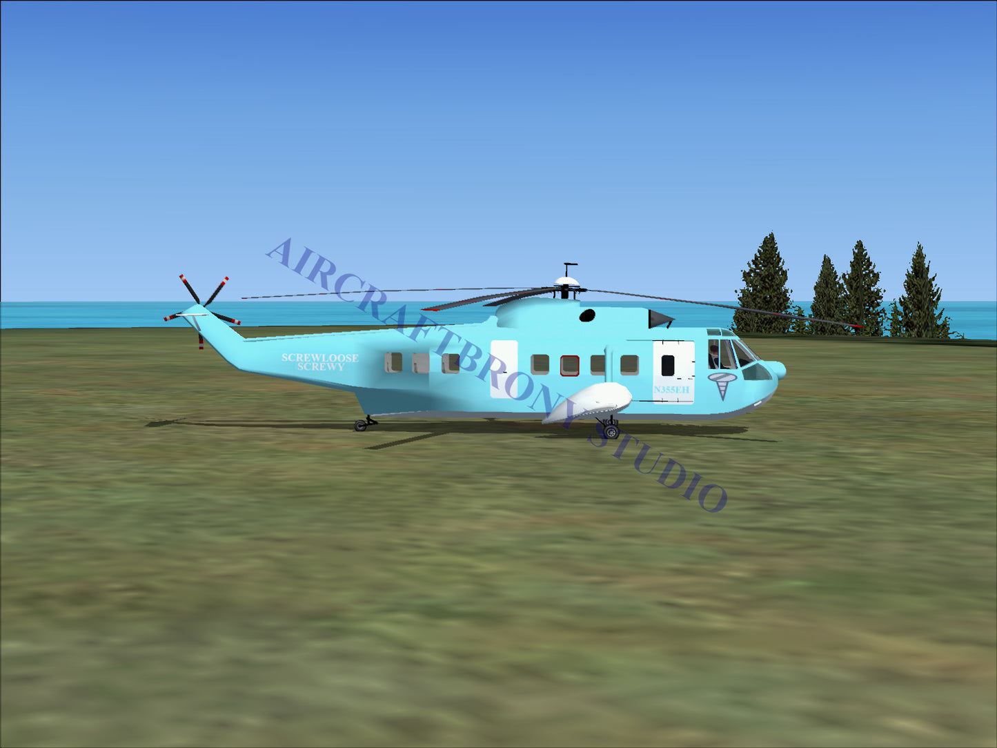 Screwloose Screwy Sikorsky S-61N (Digital Image) Digital Image