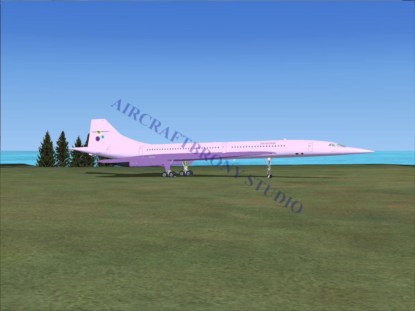 Suri Polomare Aerospatiale Concorde (Digital Image) Digital Image