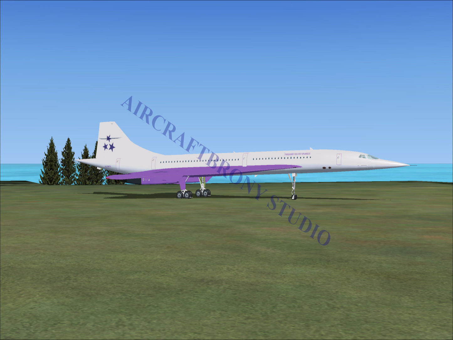 Twilight Velvet Sparkle Aerospatiale Concorde (Digital Image) Digital Image
