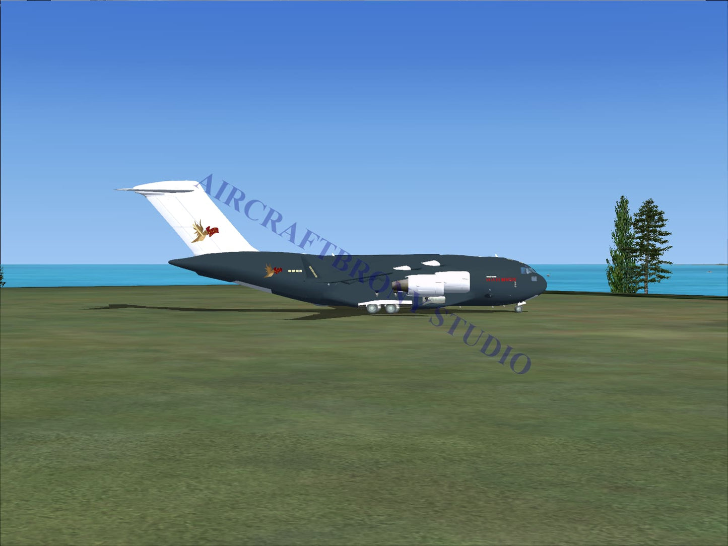 Velvet Remedy Boeing C-17 (Digital Image) Digital Image