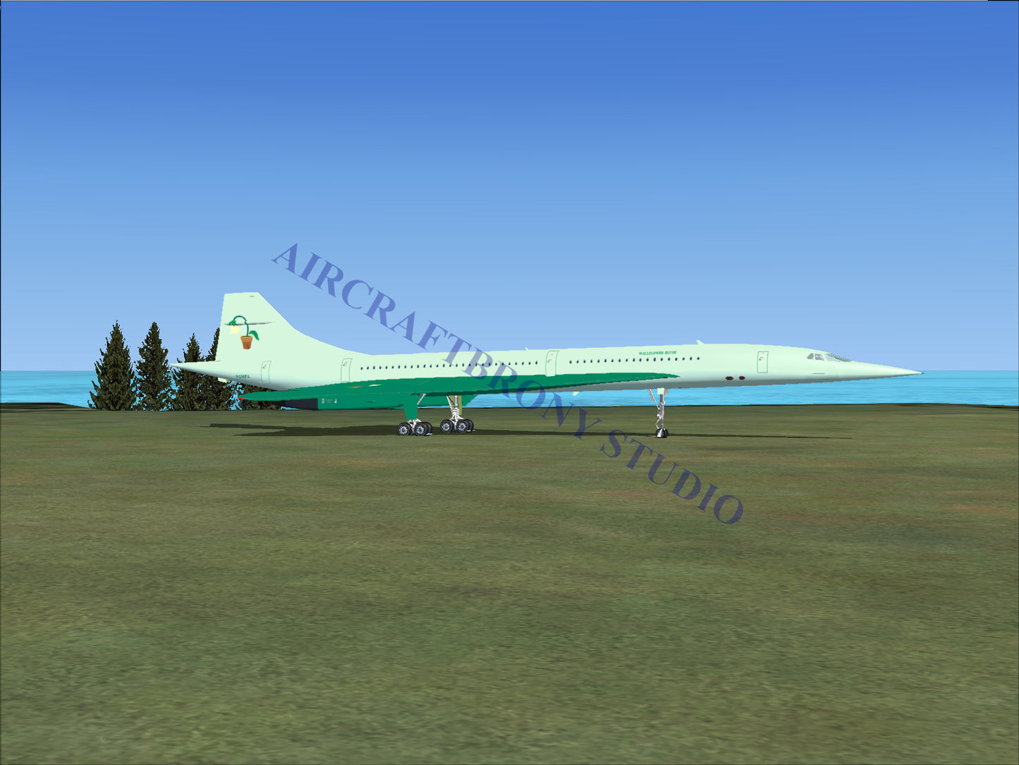 Wallflower Blush Aerospatiale Concorde (Digital Image) Digital Image