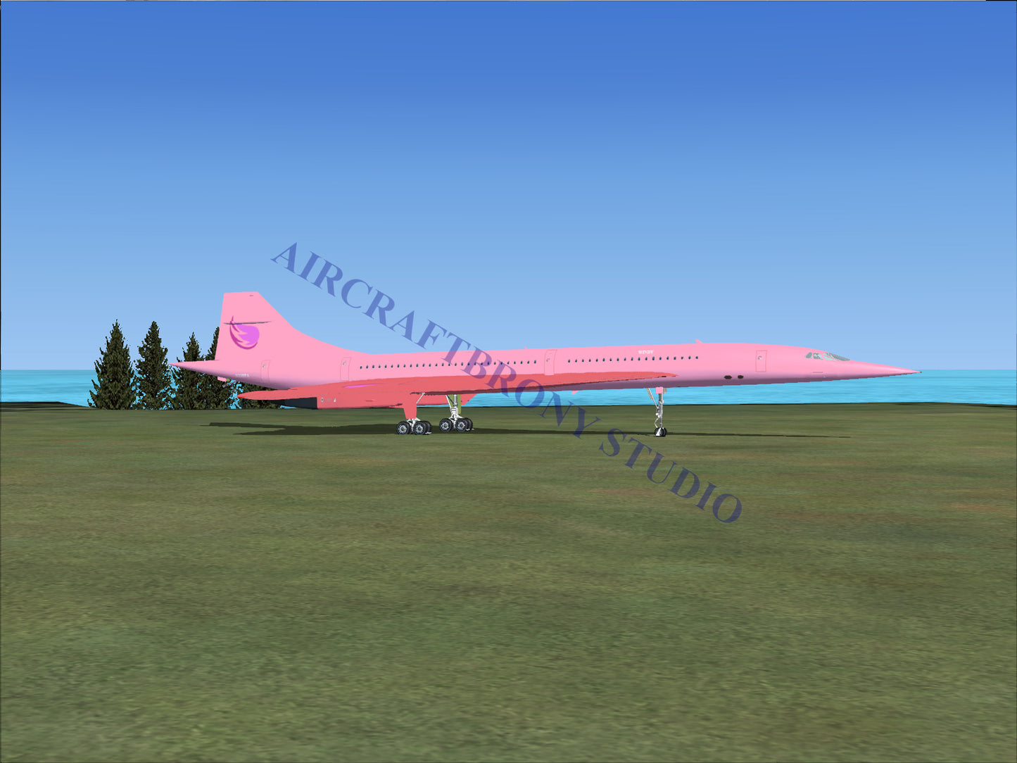 Windy Aerospatiale Concorde (Digital Image) Digital Image