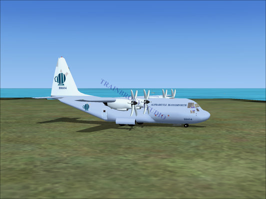 Alphabittle Blossomforth Lockheed C-130 (Digital Image) Digital Image