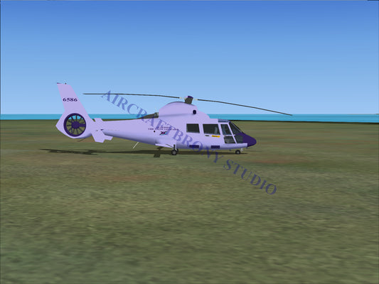 Alterro The Snow Leopard Aerospatiale HH65 Dolphin (Digital Image) Digital Image