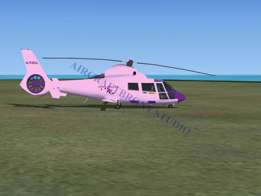 Aria Blaze Aerospatiale HH65 Dolphin (Digital Image) Digital Image