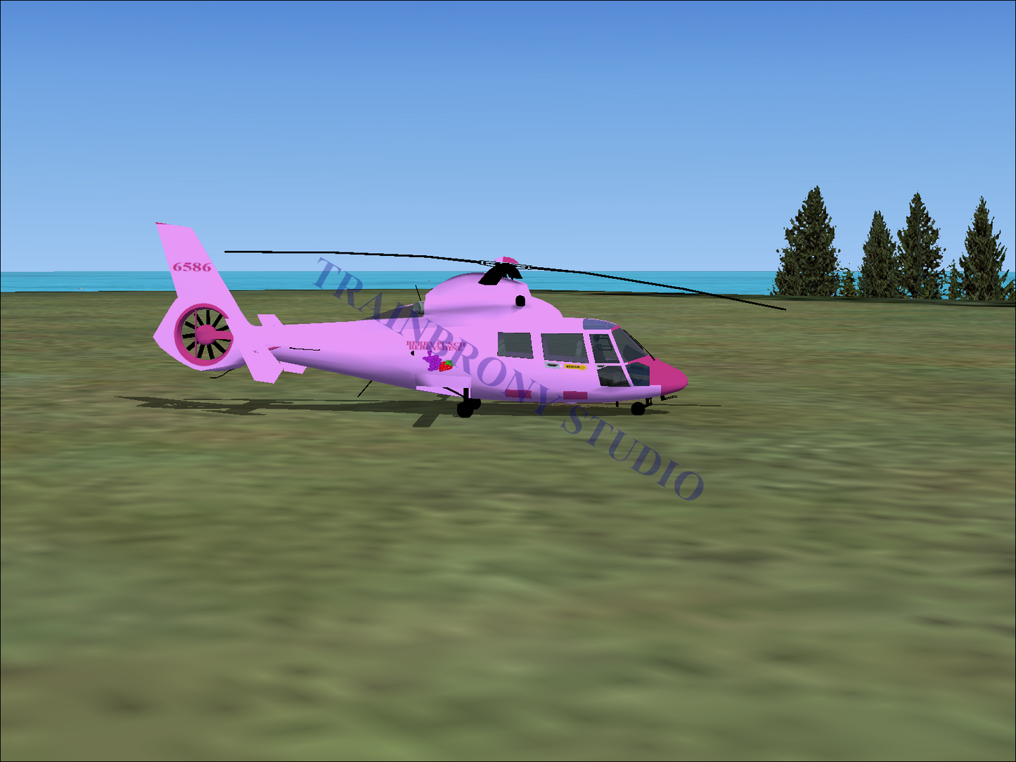 Berry Punch Aerospatiale HH65 Dolphin (Digital Image) Digital Image