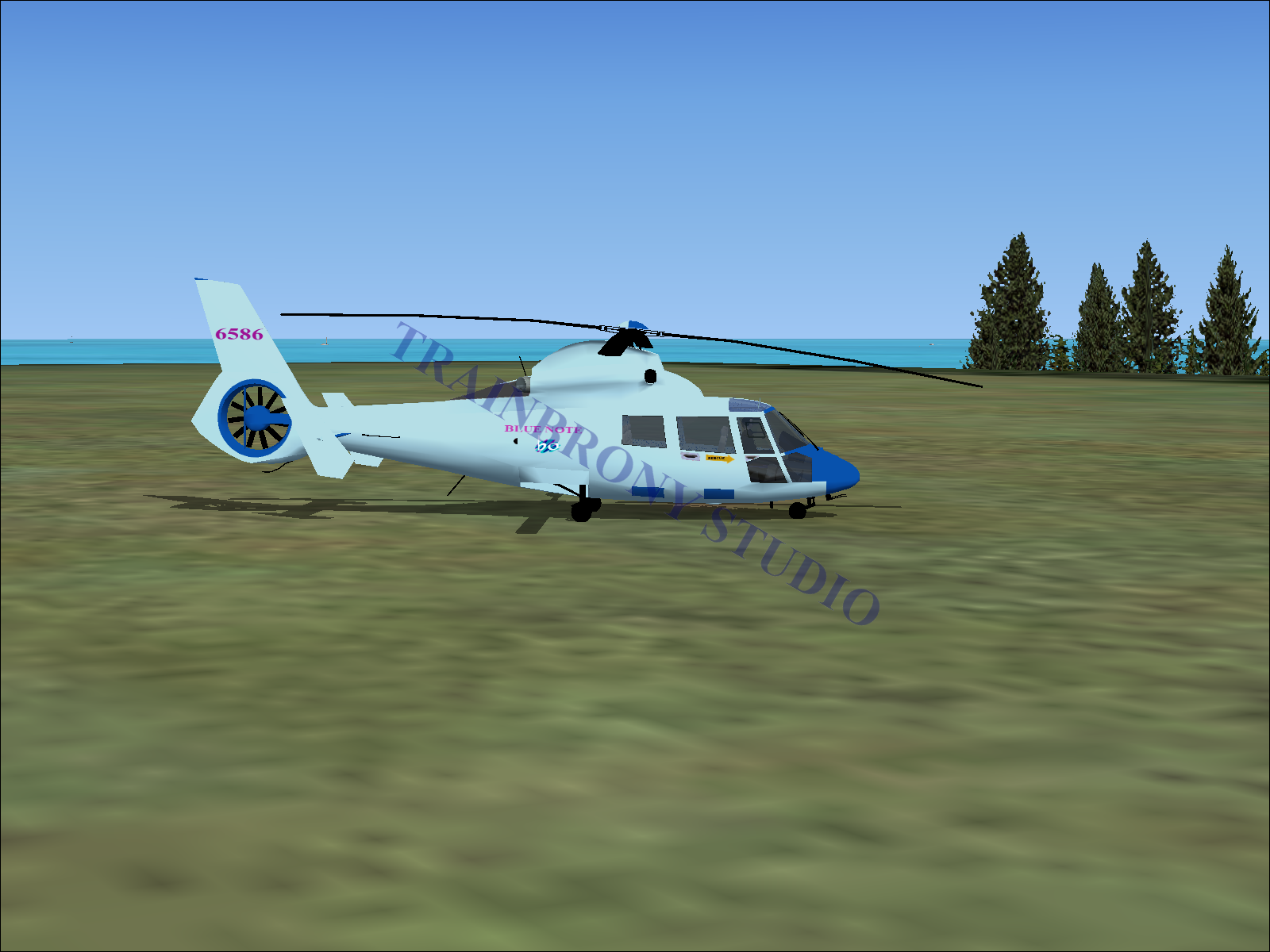 Blue Note Aerospatiale HH65 Dolphin (Digital Image) Digital Image