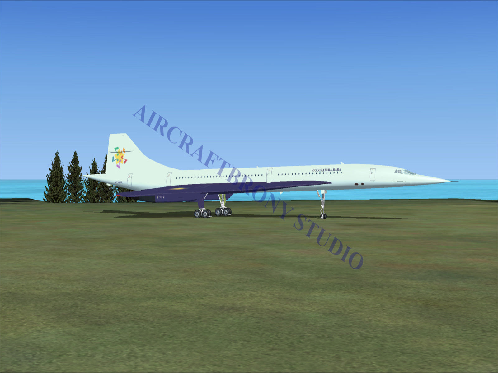 Coloratura-Rara Aerospatiale Concorde (Digital Image) Digital Image