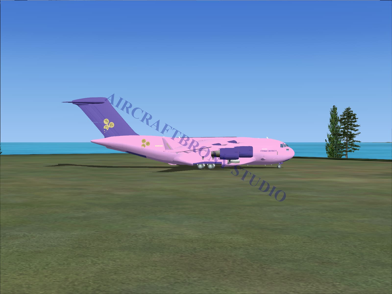 Cookie Crumbles Boeing C-17 (Digital Image) Digital Image