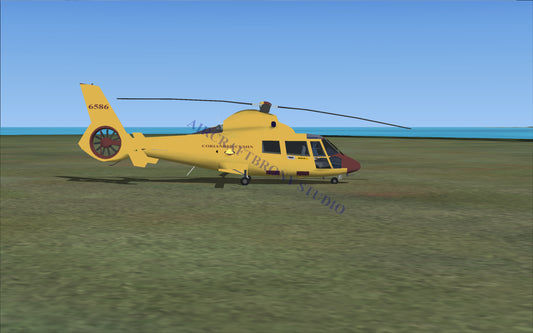 Coriander Cumin Aerospatiale HH65 Dolphin (Digital Image) Digital Image