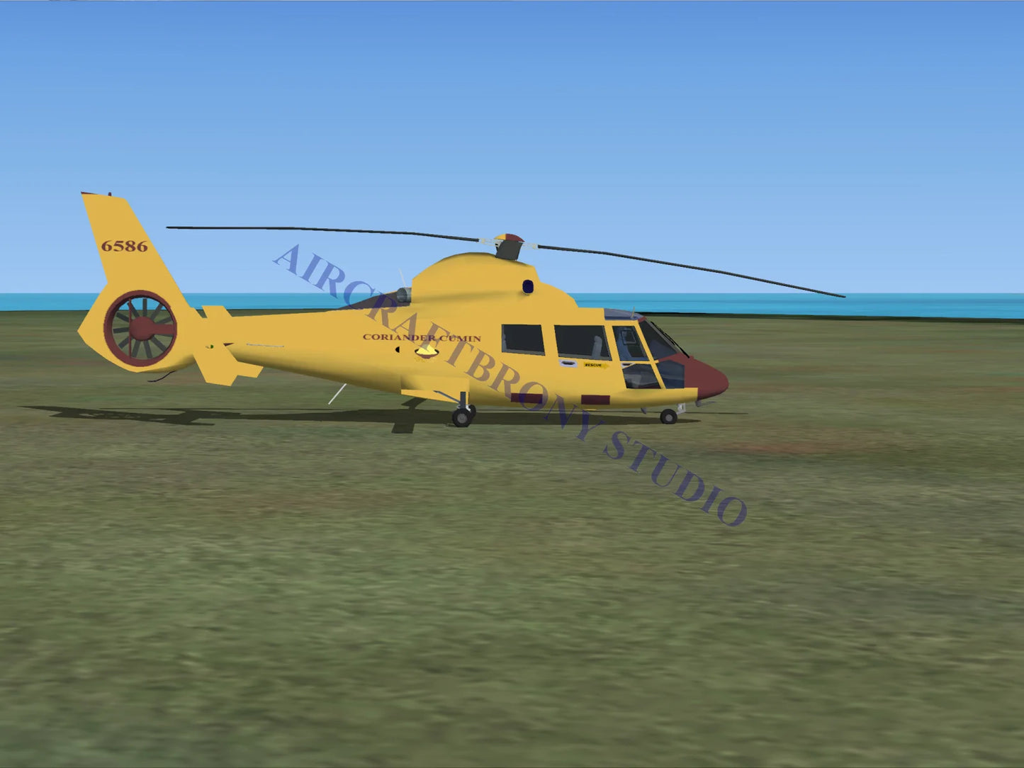 Coriander Cumin Aerospatiale HH65 Dolphin (Digital Image) Digital Image