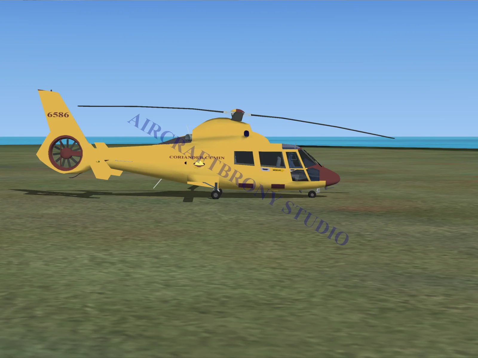 Coriander Cumin Aerospatiale HH65 Dolphin (Digital Image) Digital Image