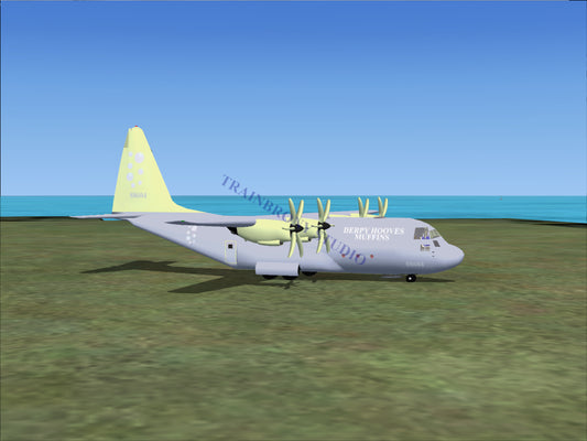 Derpy Hooves Lockheed C-130 (Digital Image) Digital Image