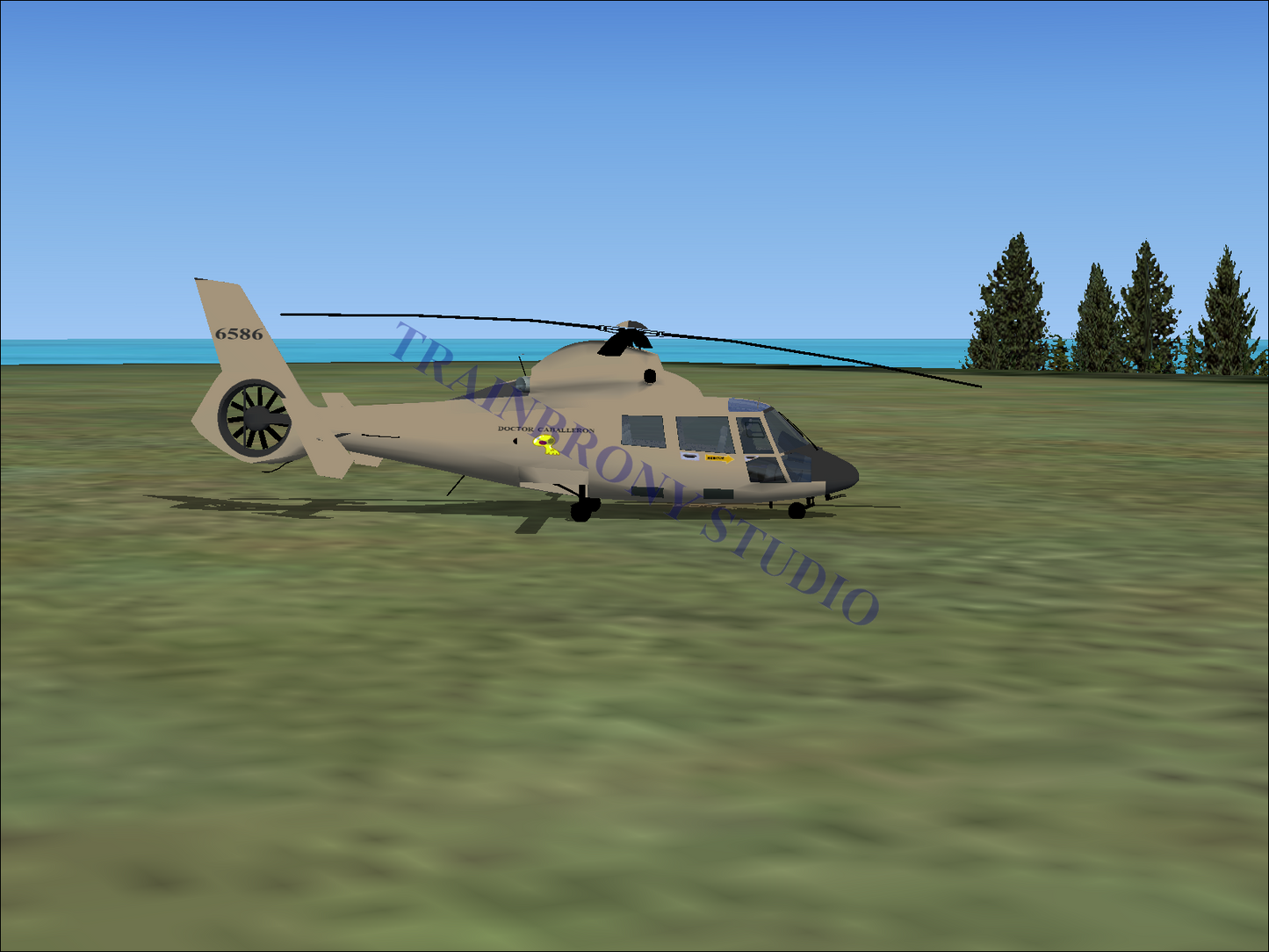 Doctor Caballeron Aerospatiale HH65 Dolphin (Digital Image) Digital Image