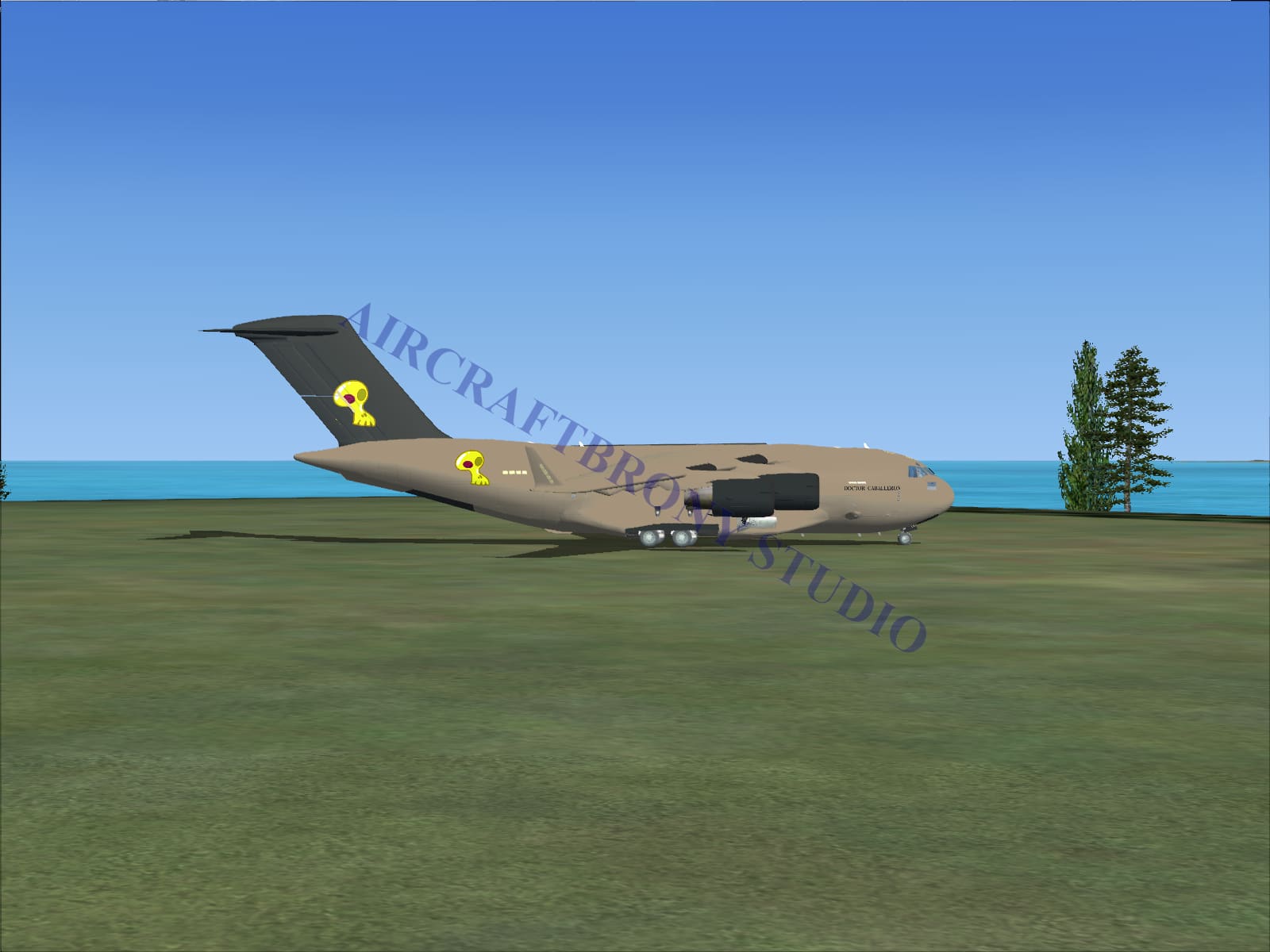 Doctor Caballeron Boeing C-17 (Digital Image) Digital Image