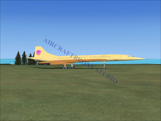 Donut Joe Aerospatiale Concorde (Digital Image) Digital Image