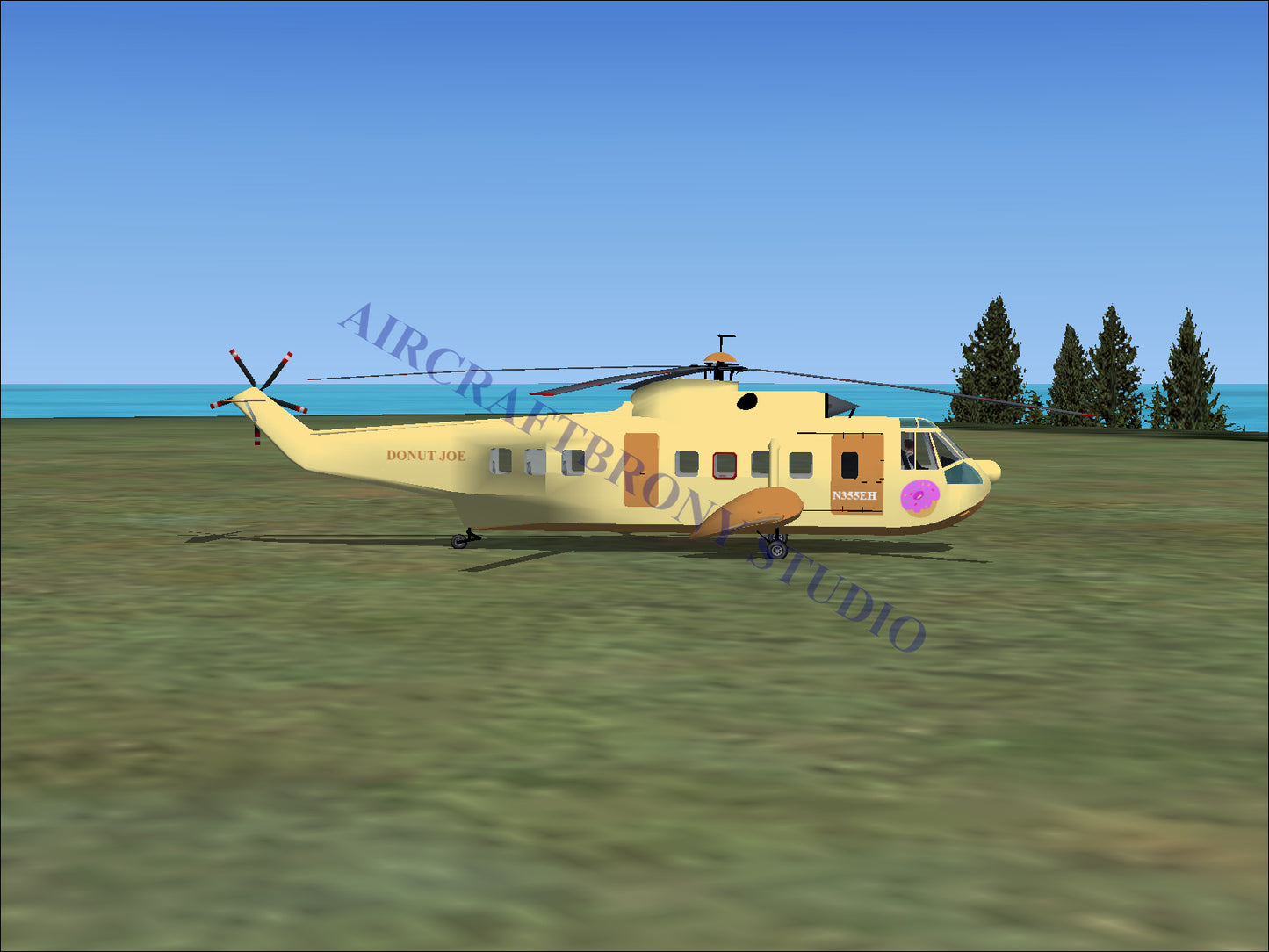 Donut Joe Sikorsky S-61N (Digital Image) Digital Image