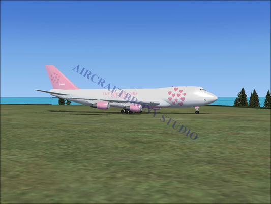 The Dreamlands (Snuzzle) Boeing 747-200 (Digital Image) Digital Image